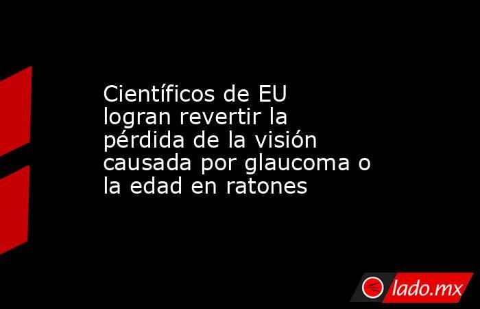 Científicos de EU logran revertir la pérdida de la visión causada por glaucoma o la edad en ratones. Noticias en tiempo real