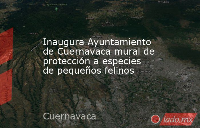 Inaugura Ayuntamiento de Cuernavaca mural de protección a especies de pequeños felinos. Noticias en tiempo real