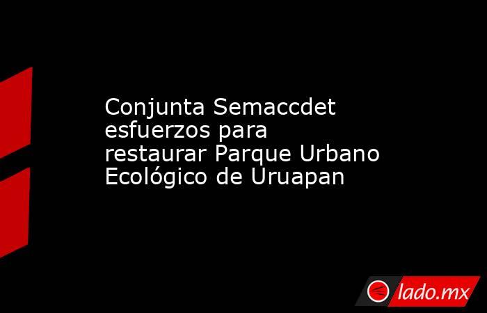 Conjunta Semaccdet esfuerzos para restaurar Parque Urbano Ecológico de Uruapan . Noticias en tiempo real