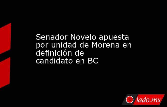 Senador Novelo apuesta por unidad de Morena en definición de candidato en BC. Noticias en tiempo real