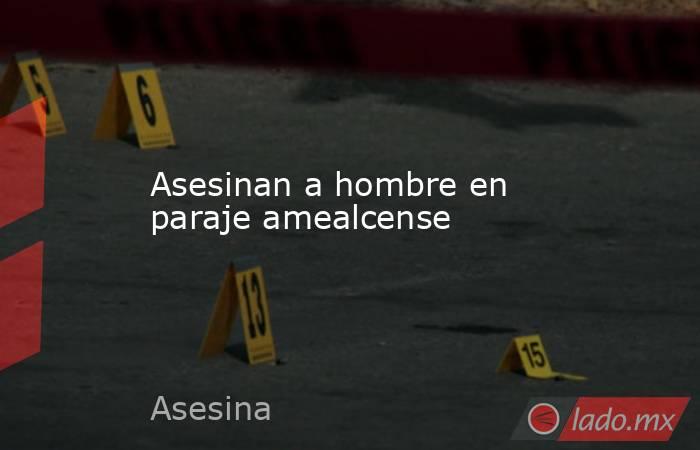 Asesinan a hombre en paraje amealcense. Noticias en tiempo real