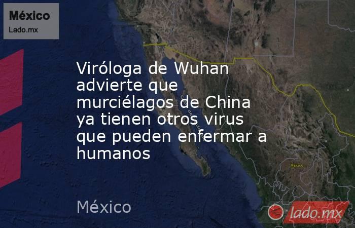 Viróloga de Wuhan advierte que murciélagos de China ya tienen otros virus que pueden enfermar a humanos. Noticias en tiempo real