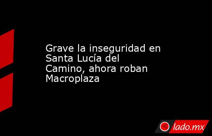 Grave la inseguridad en Santa Lucía del Camino, ahora roban Macroplaza. Noticias en tiempo real