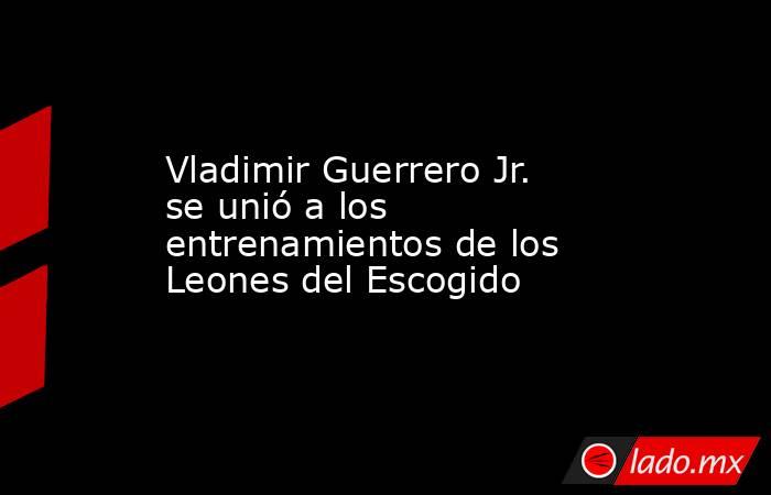 Vladimir Guerrero Jr. se unió a los entrenamientos de los Leones del Escogido. Noticias en tiempo real