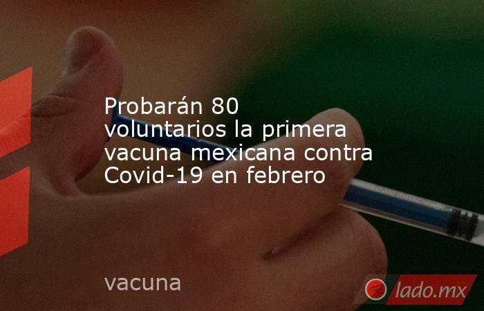 Probarán 80 voluntarios la primera vacuna mexicana contra Covid-19 en febrero
. Noticias en tiempo real