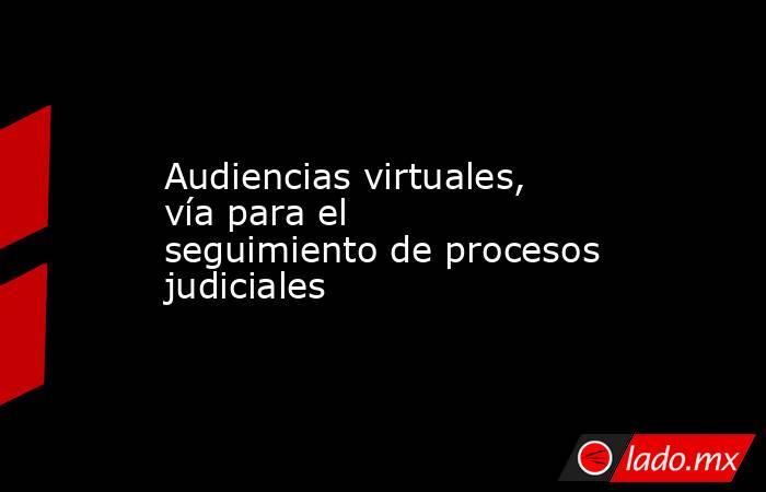 Audiencias virtuales, vía para el seguimiento de procesos judiciales. Noticias en tiempo real