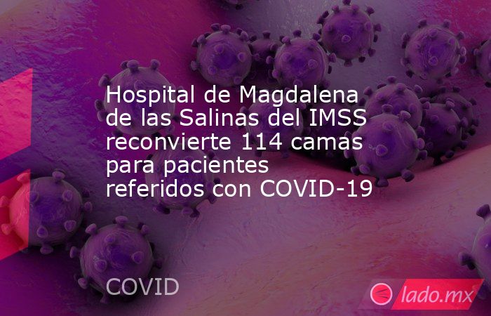 Hospital de Magdalena de las Salinas del IMSS reconvierte 114 camas para pacientes referidos con COVID-19. Noticias en tiempo real