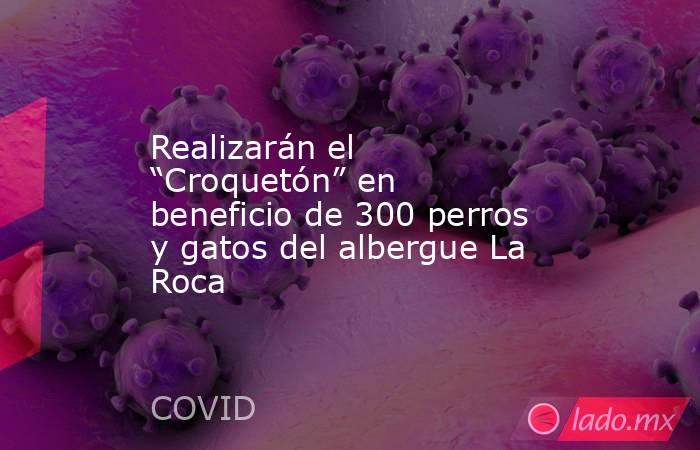 Realizarán el “Croquetón” en beneficio de 300 perros y gatos del albergue La Roca. Noticias en tiempo real