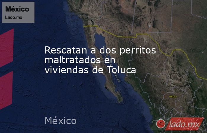 Rescatan a dos perritos maltratados en viviendas de Toluca. Noticias en tiempo real