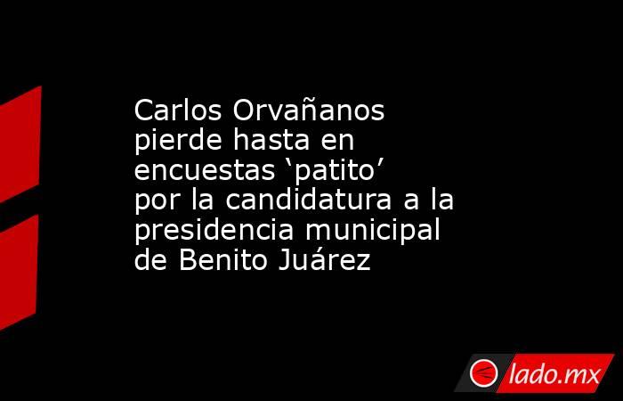 Carlos Orvañanos pierde hasta en encuestas ‘patito’ por la candidatura a la presidencia municipal de Benito Juárez. Noticias en tiempo real