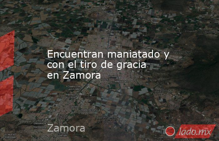Encuentran maniatado y con el tiro de gracia en Zamora. Noticias en tiempo real