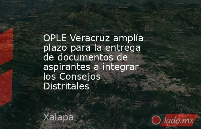 OPLE Veracruz amplía plazo para la entrega de documentos de aspirantes a integrar los Consejos Distritales. Noticias en tiempo real