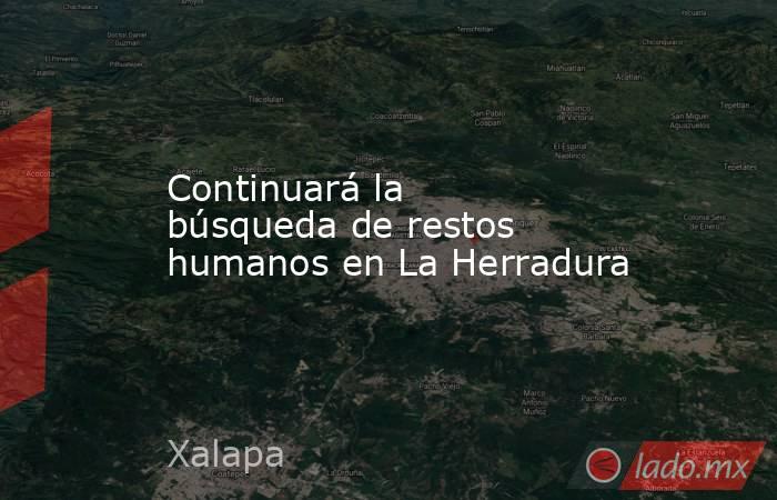 Continuará la búsqueda de restos humanos en La Herradura. Noticias en tiempo real