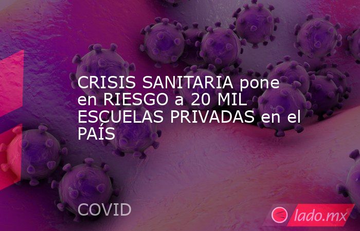 CRISIS SANITARIA pone en RIESGO a 20 MIL ESCUELAS PRIVADAS en el PAÍS. Noticias en tiempo real