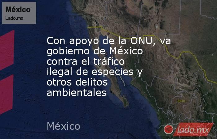 Con apoyo de la ONU, va gobierno de México contra el tráfico ilegal de especies y otros delitos ambientales. Noticias en tiempo real