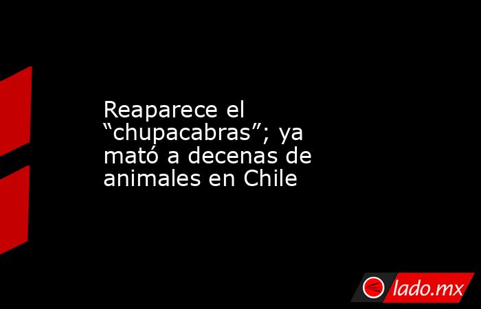 Reaparece el “chupacabras”; ya mató a decenas de animales en Chile. Noticias en tiempo real