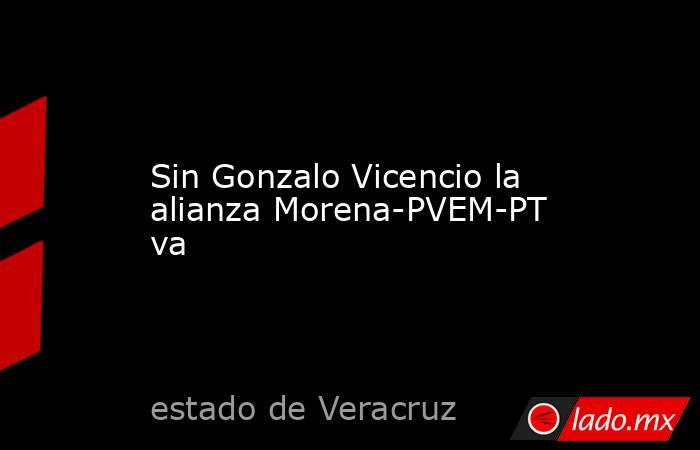 Sin Gonzalo Vicencio la alianza Morena-PVEM-PT va. Noticias en tiempo real