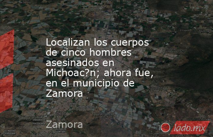 Localizan los cuerpos de cinco hombres asesinados en Michoac?n; ahora fue, en el municipio de Zamora. Noticias en tiempo real