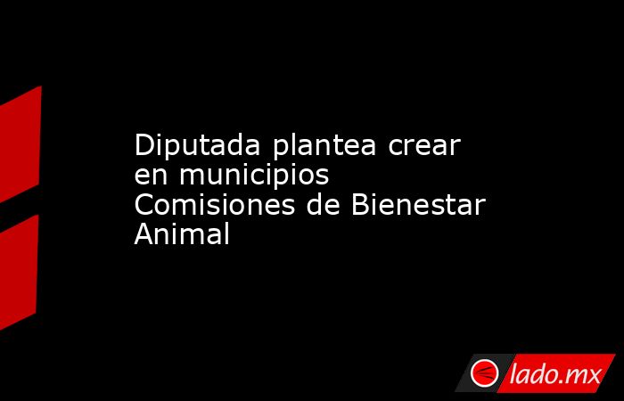 Diputada plantea crear en municipios Comisiones de Bienestar Animal. Noticias en tiempo real