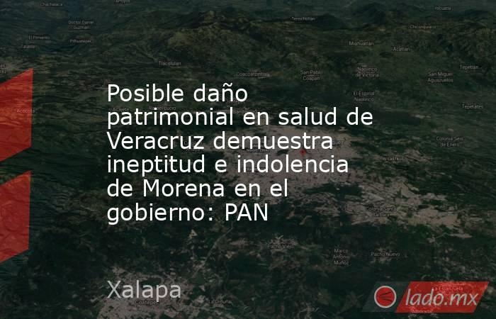 Posible daño patrimonial en salud de Veracruz demuestra ineptitud e indolencia de Morena en el gobierno: PAN. Noticias en tiempo real