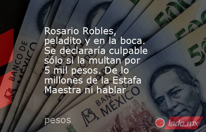 Rosario Robles, peladito y en la boca. Se declararía culpable sólo si la multan por 5 mil pesos. De lo millones de la Estafa Maestra ni hablar. Noticias en tiempo real
