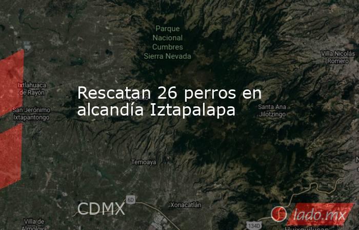 Rescatan 26 perros en alcandía Iztapalapa. Noticias en tiempo real