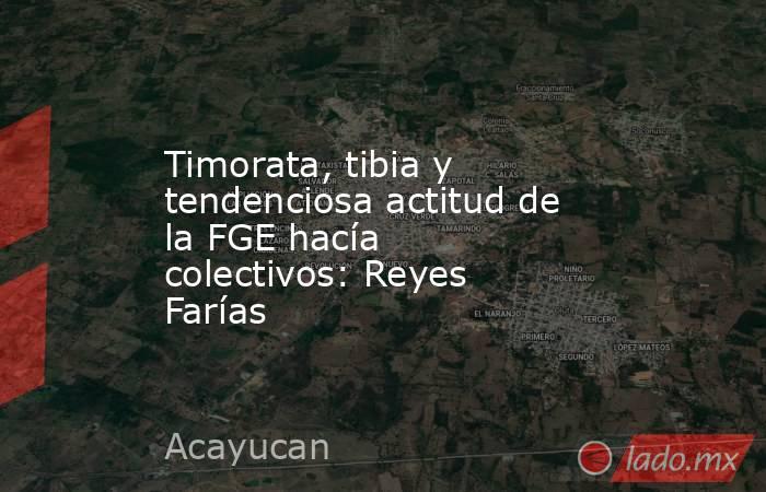 Timorata, tibia y tendenciosa actitud de la FGE hacía colectivos: Reyes Farías   . Noticias en tiempo real