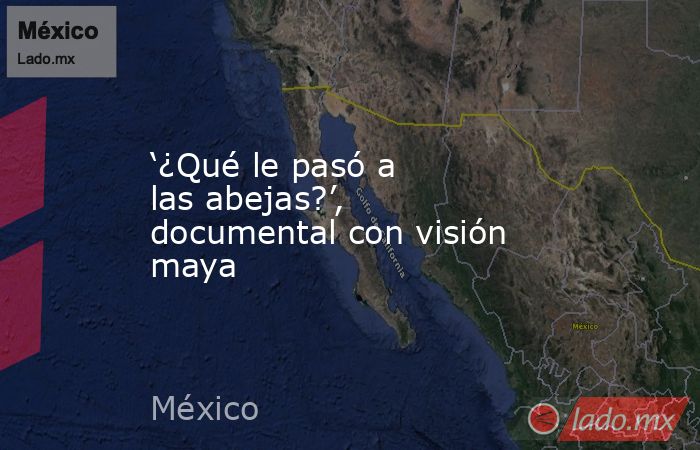 ‘¿Qué le pasó a las abejas?’, documental con visión maya. Noticias en tiempo real