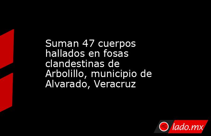 Suman 47 cuerpos hallados en fosas clandestinas de Arbolillo, municipio de Alvarado, Veracruz. Noticias en tiempo real