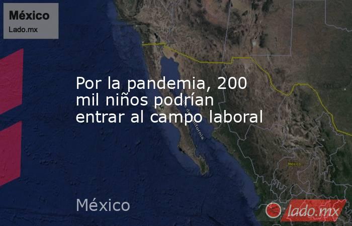 Por la pandemia, 200 mil niños podrían entrar al campo laboral. Noticias en tiempo real