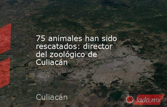 75 animales han sido rescatados: director del zoológico de Culiacán. Noticias en tiempo real