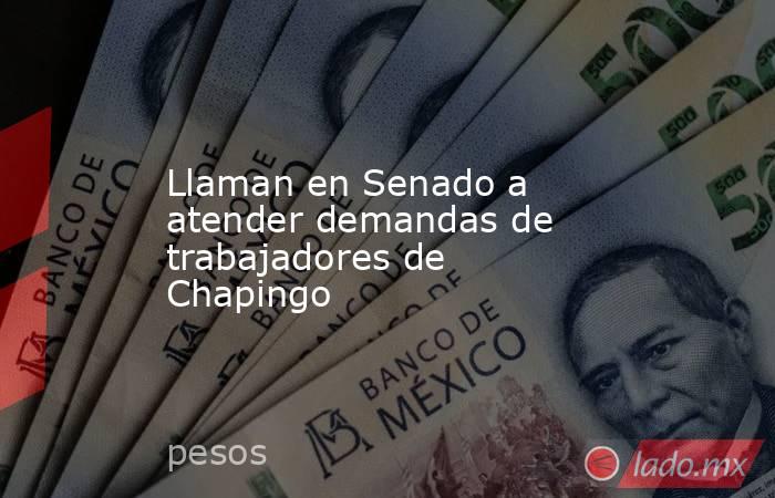 Llaman en Senado a atender demandas de trabajadores de Chapingo. Noticias en tiempo real