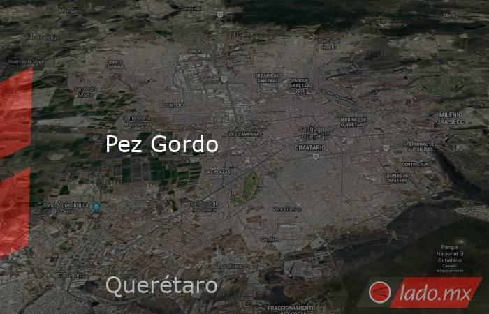 Pez Gordo. Noticias en tiempo real