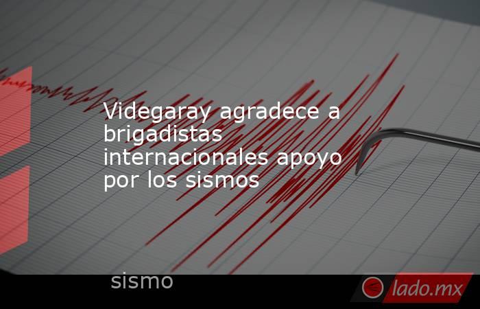 Videgaray agradece a brigadistas internacionales apoyo por los sismos. Noticias en tiempo real