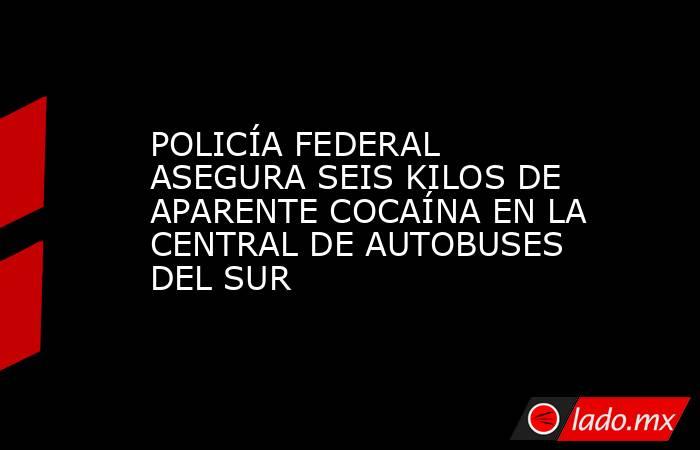 POLICÍA FEDERAL ASEGURA SEIS KILOS DE APARENTE COCAÍNA EN LA CENTRAL DE AUTOBUSES DEL SUR. Noticias en tiempo real