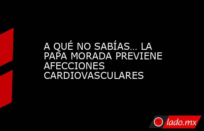 A QUÉ NO SABÍAS… LA PAPA MORADA PREVIENE AFECCIONES CARDIOVASCULARES. Noticias en tiempo real