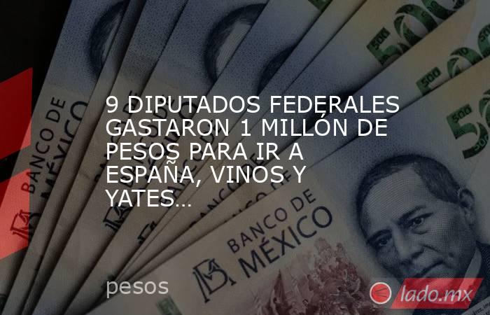 9 DIPUTADOS FEDERALES GASTARON 1 MILLÓN DE PESOS PARA IR A ESPAÑA, VINOS Y YATES…. Noticias en tiempo real