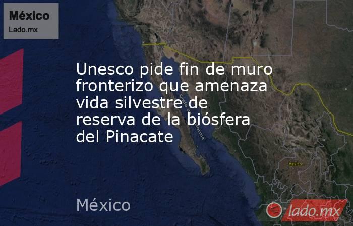 Unesco pide fin de muro fronterizo que amenaza vida silvestre de reserva de la biósfera del Pinacate. Noticias en tiempo real