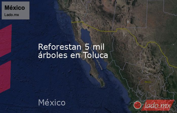 Reforestan 5 mil árboles en Toluca. Noticias en tiempo real