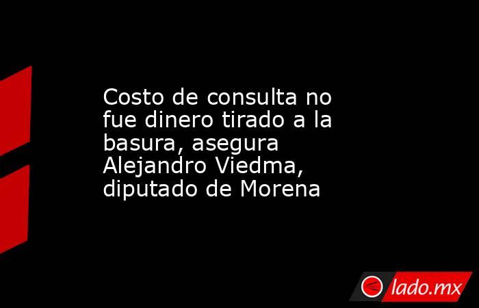 Costo de consulta no fue dinero tirado a la basura, asegura Alejandro Viedma, diputado de Morena. Noticias en tiempo real