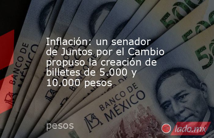Inflación: un senador de Juntos por el Cambio propuso la creación de billetes de 5.000 y 10.000 pesos. Noticias en tiempo real