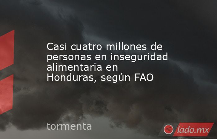 Casi cuatro millones de personas en inseguridad alimentaria en Honduras, según FAO. Noticias en tiempo real