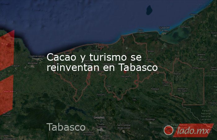 Cacao y turismo se reinventan en Tabasco. Noticias en tiempo real