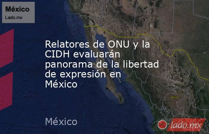 Relatores de ONU y la CIDH evaluarán panorama de la libertad de expresión en México. Noticias en tiempo real