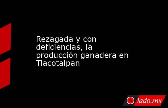 Rezagada y con deficiencias, la producción ganadera en Tlacotalpan . Noticias en tiempo real