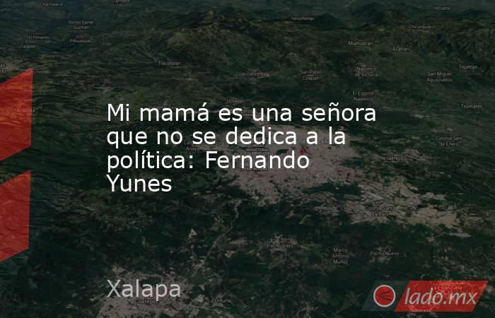 Mi mamá es una señora que no se dedica a la política: Fernando Yunes. Noticias en tiempo real
