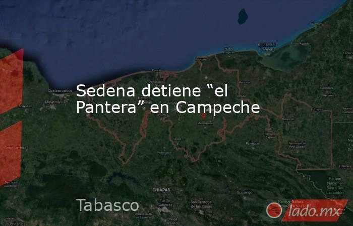 Sedena detiene “el Pantera” en Campeche. Noticias en tiempo real