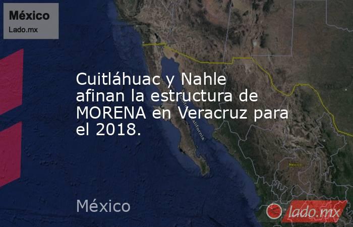 Cuitláhuac y Nahle afinan la estructura de MORENA en Veracruz para el 2018.. Noticias en tiempo real