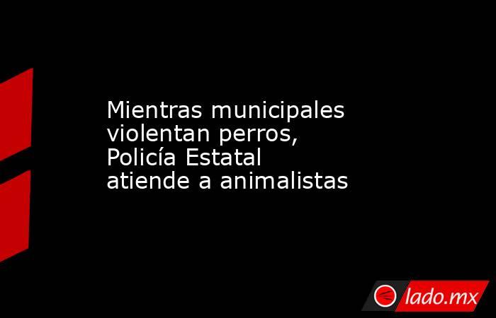 Mientras municipales violentan perros, Policía Estatal atiende a animalistas. Noticias en tiempo real