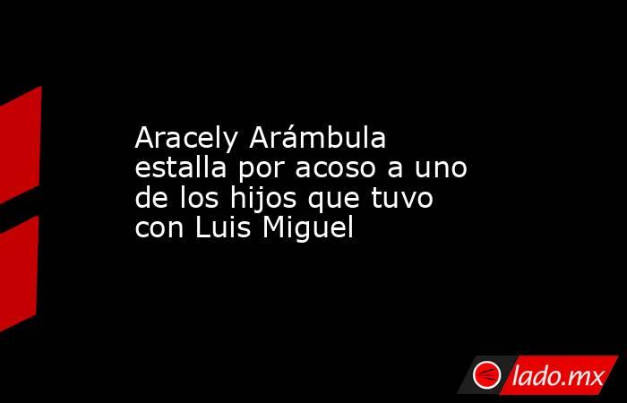 Aracely Arámbula estalla por acoso a uno de los hijos que tuvo con Luis Miguel. Noticias en tiempo real